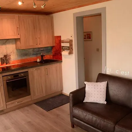 شقة 5 Personnes Maya Et Louna كسونبورت-لونجمير