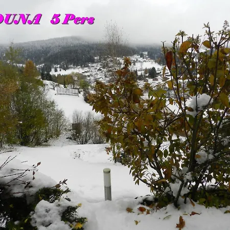 5 Personnes Maya Et Louna Διαμέρισμα Xonrupt-Longemer