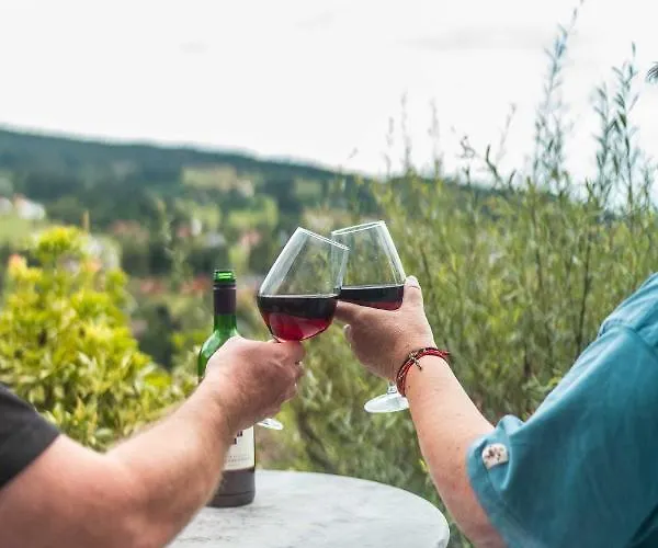 5 Personnes Maya Et Louna Apartmán Xonrupt-Longemer