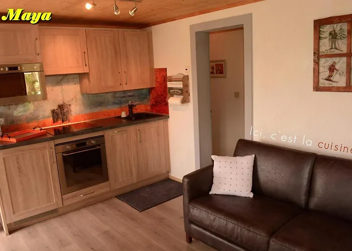 Apartmán 5 Personnes Maya Et Louna Xonrupt-Longemer