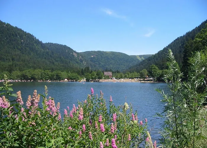 5 Personnes Maya Et Louna Apartmán Xonrupt-Longemer