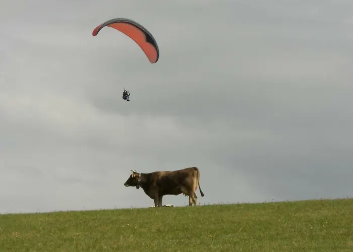 5 Personnes Maya Et Louna * Xonrupt-Longemer